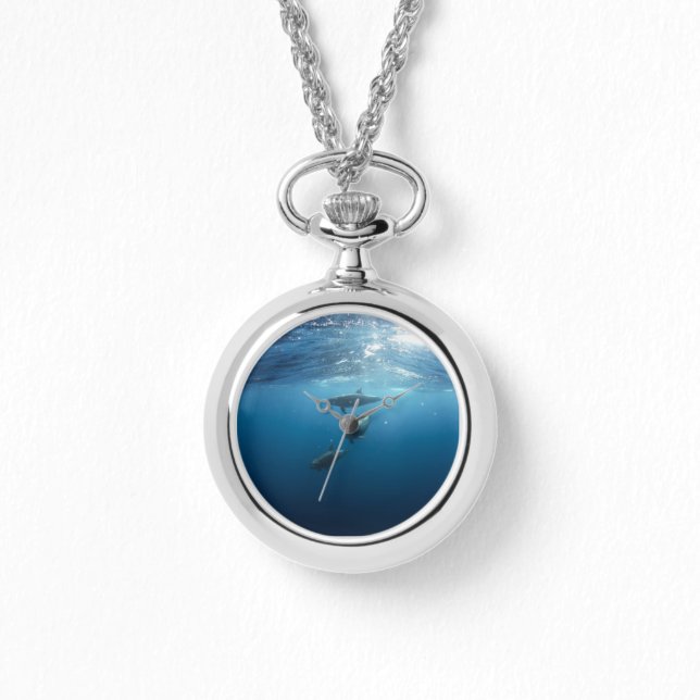 Montre Famille Dolphin (Recto)
