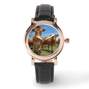 Montre Farms Brown Cow Group