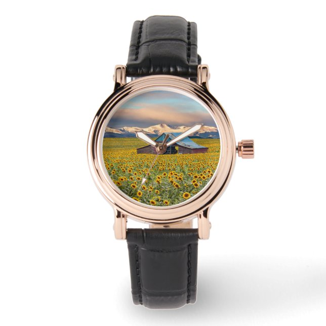 Montre Farms | Field (Recto)