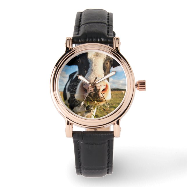 Montre Fermes | Vache Holstein Chewing (Recto)