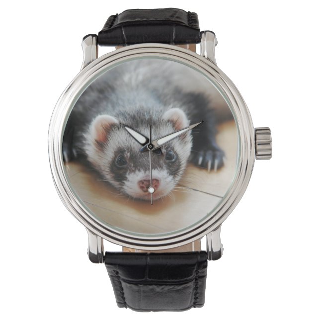 Montre Ferret Cute Sable (devant)