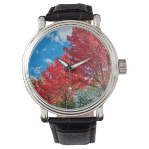 Montre Feuilles D'Arbre Rouge Lumineux En Automne