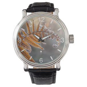 Montre Feuilles de fougère avec givre d'Icy dans une natu