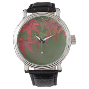 Montre Feuilles d'érable, Katsura, Kyoto, Japon