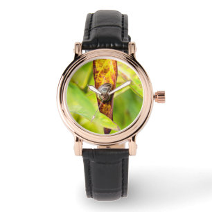 Montre fixation calme