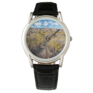 Montre Fleurs   Blooming Sagebrush Californie