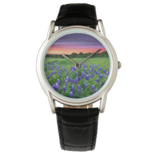 Montre Fleurs   Bluebonnets à Sunset Texas