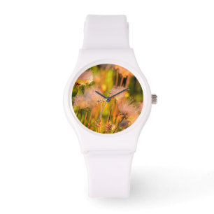 Montre Fleurs sauvages Prairie Smoke dans un bosquet d'as