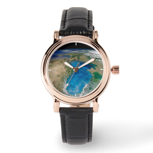 Montre Floraison De Phytoplancton Bleu En Mer Noire (Recto)