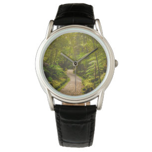 Montre Forêt   Chemin De Marche Dans La Forêt