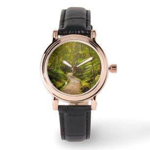 Montre Forêt   Chemin De Marche Dans La Forêt