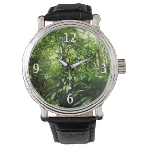 Montre Forêt de pluie dominicaine I Nature verte tropical