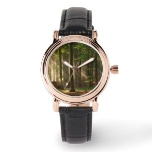 Montre Forêt   Forêt d'automne