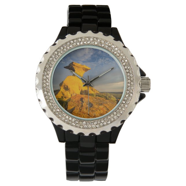 Montre Formation De Badlands Sculptés En Herbe Courte (devant)
