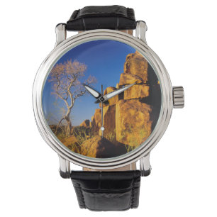 Montre Formation rocheuse et arbre, terrain de jeu du géa