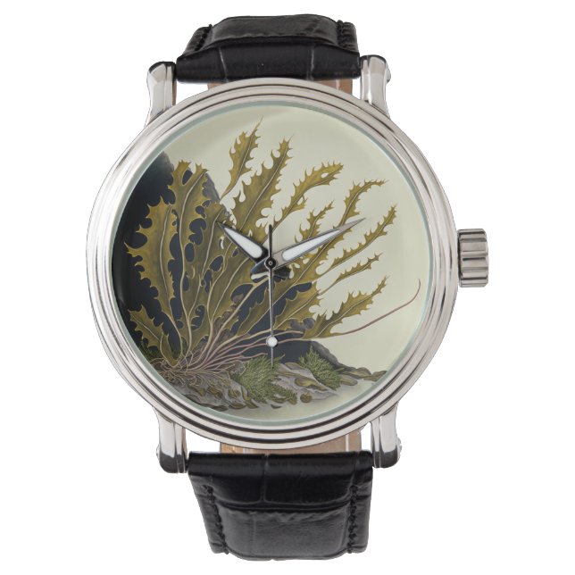 Montre Front de Tidal (devant)