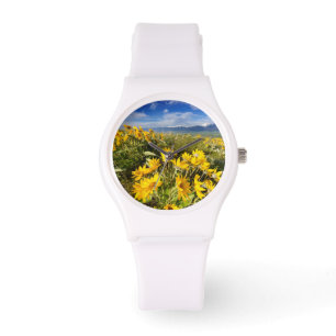 Montre Gamme nationale de bison