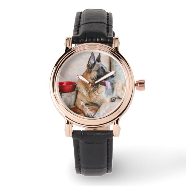 Montre German Shepherd Resting (Recto)