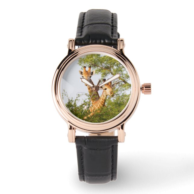 Montre Giraffes Pékin au-dessus de la végétation (Recto)