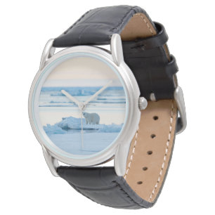 Montre Glace et neige Ours polaire Iceberg Norvège