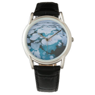 Montre Glace et neige   Ours polaire, Océan Arctique, Sva
