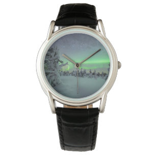 Montre Glace et neige Parc national de Pallas-Yllastunt