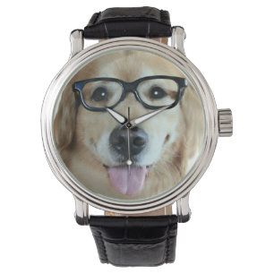 Montre Golden retriever avec les verres nerd