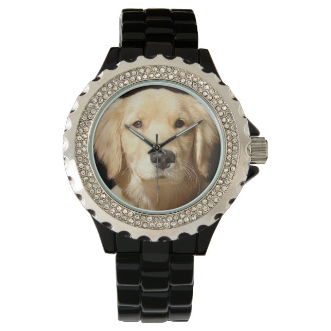 Montre Golden Retriever Closeup (devant)