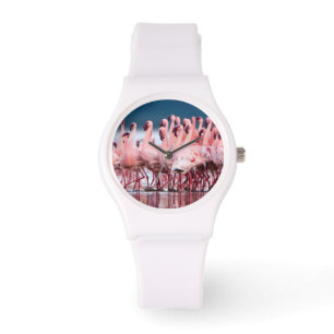 Montre Grand Groupe De Flamants Nains