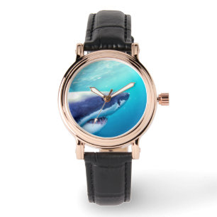 Montre Grand requin blanc Afrique du Sud