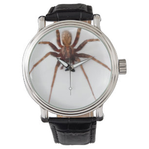 Montre Grande araignée effrayante