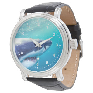 Montre Great White Shark   Afrique du Sud