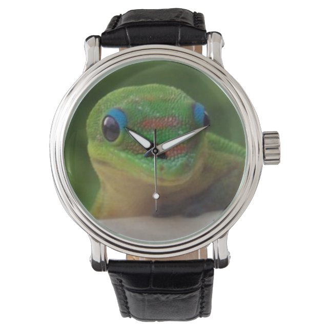 Montre Green Gecko (devant)