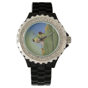 Montre Grenouille de Tre observée par rouge jetant un