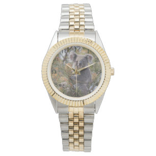 Montre Grevillea Koala Bear,