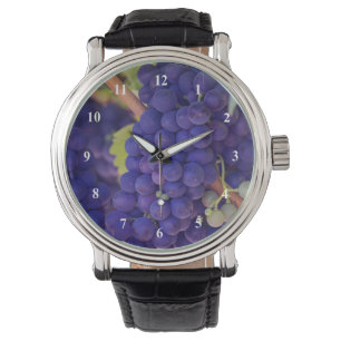 Montre Gros pépin de raisins pourpres juteux