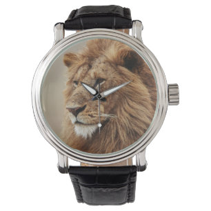 Montre Gros plan sur un lion mâle