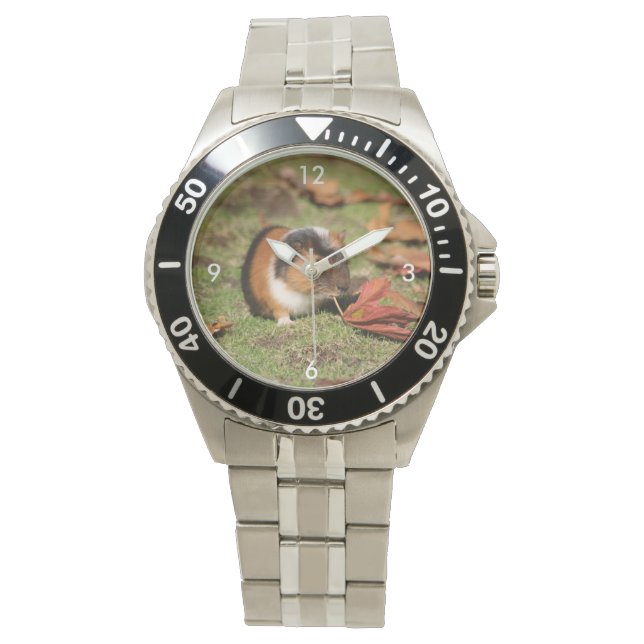 Montre GuineaPig_20181001_par_JAMFoto (devant)