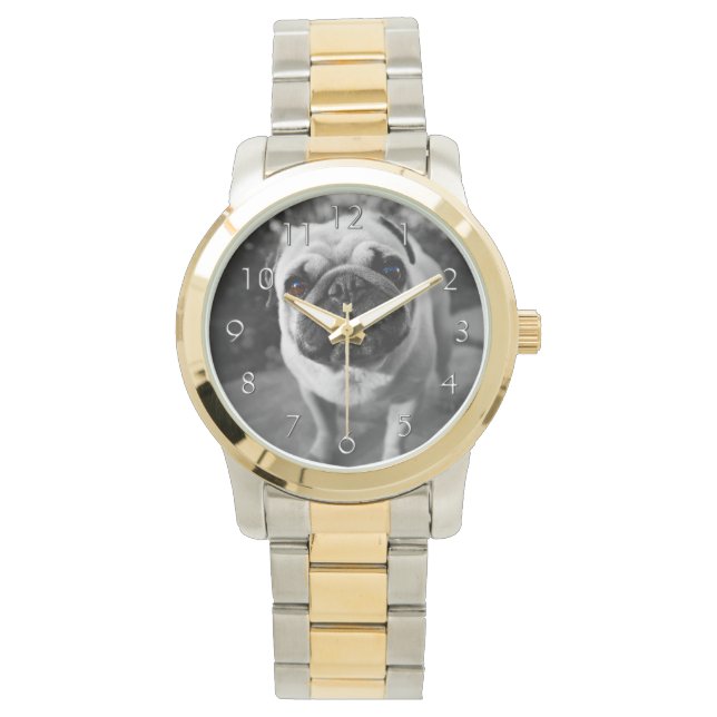 Montre Handsome pug (devant)