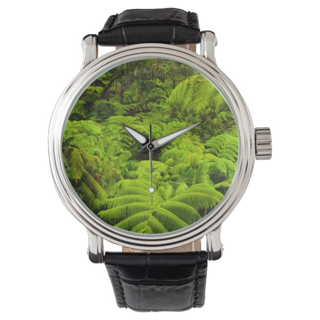 Montre Hawaii, Big Island, Végétation tropicale luxuriant (devant)