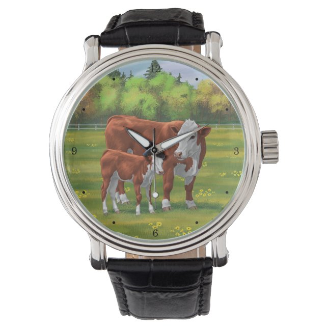 Montre Hereford Cow & Cute Calf dans les pâturages d'été (devant)
