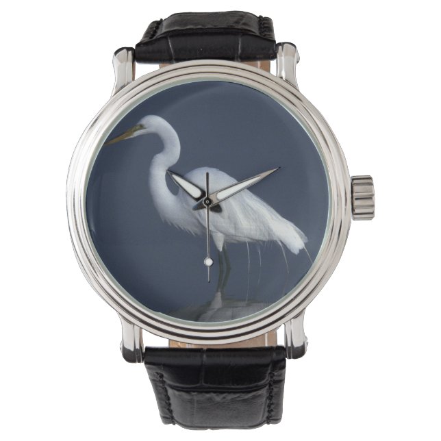 Montre Heron (devant)