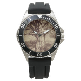 Montre Hêtre (par Eugène Atget)