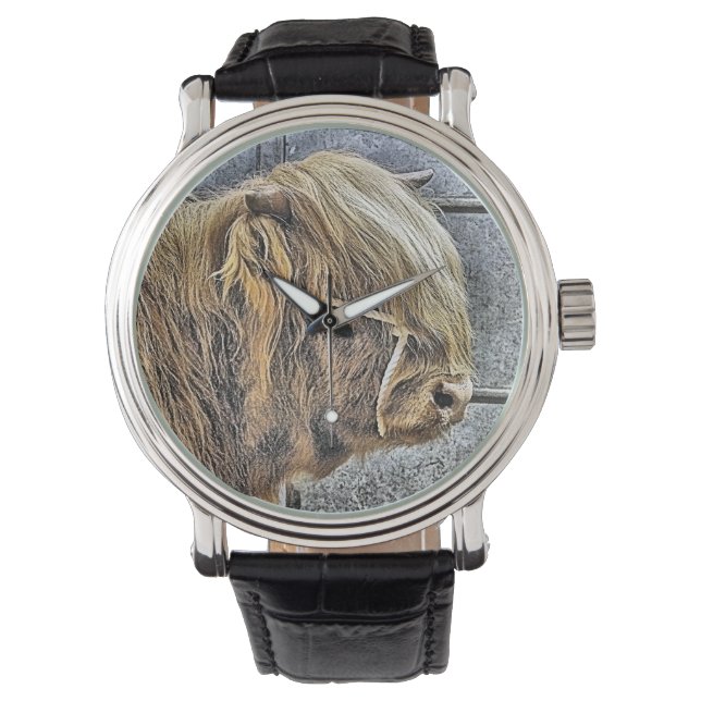 MONTRE HIGHLAND VW (devant)
