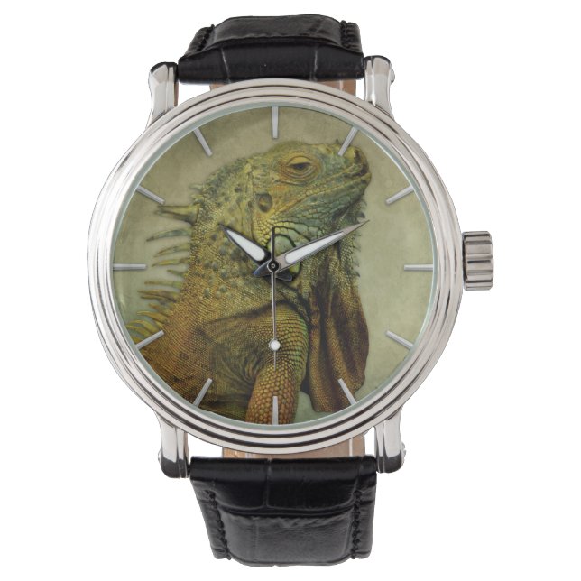 Montre Iguana verte (devant)