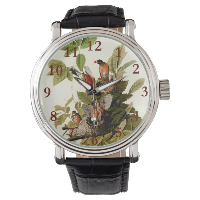 Montre Illustration Audubon American Robin Wildlife Bird (devant)