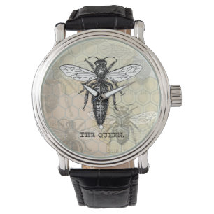 Montre Illustration d'antiquité de l'insecte de la reine 