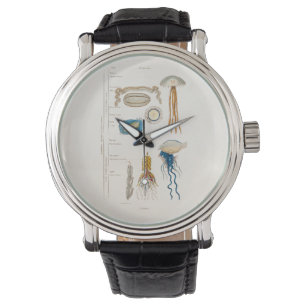 Montre Illustration vintage de méduse des années 1800 - P