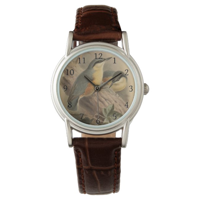 Montre Illustration vintage de Nuthatch (devant)