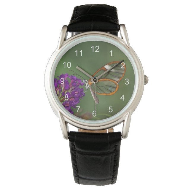Montre Ils m'appellent "l'aile claire" (devant)